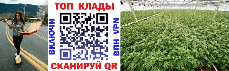 НБОМе Бологое