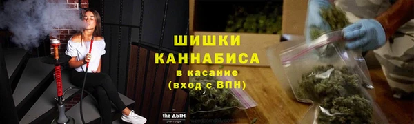молекула духа Алзамай