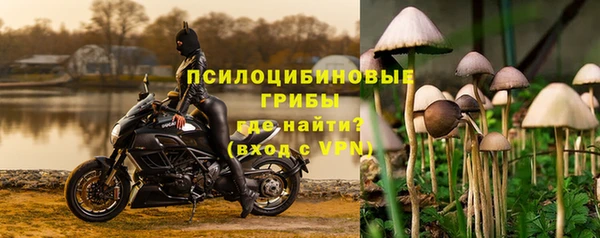 2c-b Алексин